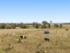 "Cooby Crest" 101 Pipeline Road, Meringandan QLD 4352-Image