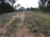 Coonooer- Gowar Rd, Coonooer Bridge, Vic 3477-Image
