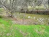Coonooer- Gowar Rd, Coonooer Bridge, Vic 3477-Image