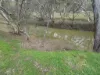 Coonooer- Gowar Rd, Coonooer Bridge, Vic 3477-Image