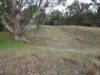 Coonooer- Gowar Rd, Coonooer Bridge, Vic 3477-Image