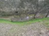 Coonooer- Gowar Rd, Coonooer Bridge, Vic 3477-Image