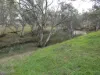 Coonooer- Gowar Rd, Coonooer Bridge, Vic 3477-Image