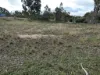 Coonooer- Gowar Rd, Coonooer Bridge, Vic 3477-Image