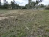 Coonooer- Gowar Rd, Coonooer Bridge, Vic 3477-Image