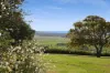 'Culwalla' 541, Jamberoo NSW 2533-Image