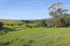 'Culwalla' 541, Jamberoo NSW 2533-Image