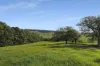 'Culwalla' 541, Jamberoo NSW 2533-Image