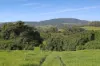 'Culwalla' 541, Jamberoo NSW 2533-Image