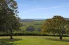 'Culwalla' 541, Jamberoo NSW 2533-Image
