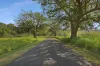 'Culwalla' 541, Jamberoo NSW 2533-Image