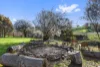 DAG Sheep Station 1067 Crawney Road, Nundle, NSW 2340-Image