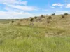 , Dreeite VIC 3249-Image