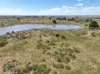 , Dreeite VIC 3249-Image