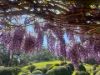 'Eagleview Park'/98, Foxground NSW 2534-Image