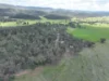 'Fox Hill' 573 Blathery Creek Road, Neurea NSW 2820-Image
