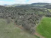 'Fox Hill' 573 Blathery Creek Road, Neurea NSW 2820-Image