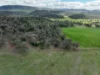 'Fox Hill' 573 Blathery Creek Road, Neurea NSW 2820-Image