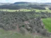 'Fox Hill' 573 Blathery Creek Road, Neurea NSW 2820-Image