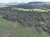 'Fox Hill' 573 Blathery Creek Road, Neurea NSW 2820-Image