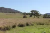Golden Highway, Sandy Hollow, NSW 2333-Image