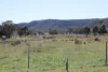 Golden Highway, Sandy Hollow, NSW 2333-Image