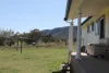 Golden Highway, Sandy Hollow, NSW 2333-Image