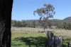 Golden Highway, Sandy Hollow, NSW 2333-Image