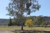 Golden Highway, Sandy Hollow, NSW 2333-Image