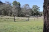 Golden Highway, Sandy Hollow, NSW 2333-Image