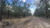 Gulera Road, Ducklo, Qld 4405-Image