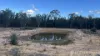 Gulera Road, Ducklo, Qld 4405-Image