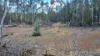 Gulera Road, Ducklo, Qld 4405-Image