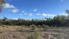 Gulera Road, Ducklo, Qld 4405-Image