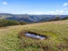 Hoares Road, Wilmot, Tas 7310-Image
