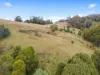Hoares Road, Wilmot, Tas 7310-Image