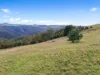Hoares Road, Wilmot, Tas 7310-Image