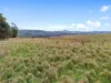 Hoares Road, Wilmot, Tas 7310-Image