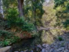, Kobble Creek QLD 4520-Image