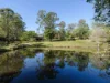 , Kobble Creek QLD 4520-Image