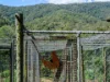 , Kobble Creek QLD 4520-Image