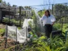 , Kobble Creek QLD 4520-Image