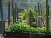 , Kobble Creek QLD 4520-Image
