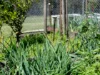 , Kobble Creek QLD 4520-Image