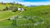 Koetong Creek Track, Bungil, Vic 3691-Image