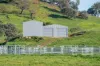Koetong Creek Track, Bungil, Vic 3691-Image