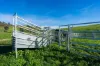 Koetong Creek Track, Bungil, Vic 3691-Image