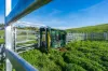 Koetong Creek Track, Bungil, Vic 3691-Image