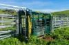 Koetong Creek Track, Bungil, Vic 3691-Image