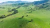 Koetong Creek Track, Bungil, Vic 3691-Image